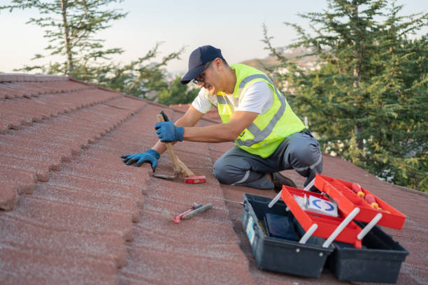 Roof Gutter Cleaning in Ashland, IL