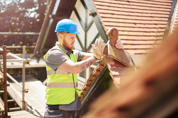 Best Roof Gutter Cleaning  in Ashland, IL