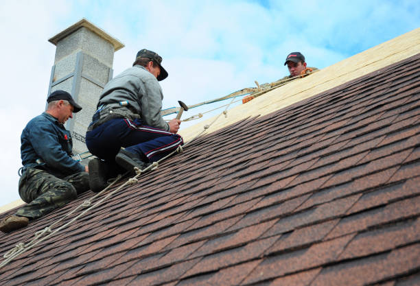 Best Metal Roofing Contractor  in Ashland, IL
